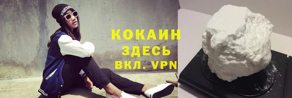 СК Волосово