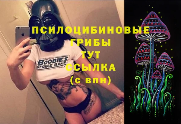 винт Верея