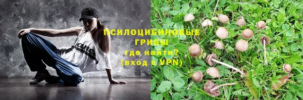 прущая мука Волоколамск