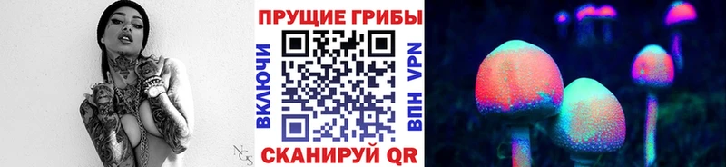 Галлюциногенные грибы Psilocybine cubensis  Мариинский Посад 